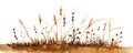 Watercolor autumn landscape in brown shades. Withered grass with high ripe spikelet on white background. Hand drawn illustration