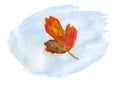 Watercolor autumn leaf on blue background Royalty Free Stock Photo