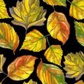 Watercolor autumn leaf seamless pattern Royalty Free Stock Photo