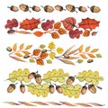 Watercolor autumn leaves,acorn border set