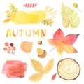 Watercolor autumn leaves, branches, textures and plants set Royalty Free Stock Photo