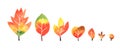 Watercolor autumn leaves collection on white background with clipping mask Royalty Free Stock Photo