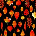 Watercolor autumn leaves and floral seamless pattern Royalty Free Stock Photo