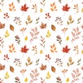 Watercolor autumn leaves and foliage seamless pattern on white background. Botanical fall print Royalty Free Stock Photo