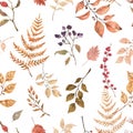 Watercolor autumn leaves and foliage seamless pattern on white background. Botanical fall wallpaper Royalty Free Stock Photo