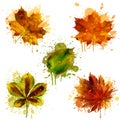 Watercolor autumn leaves. Vector Royalty Free Stock Photo