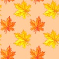 Watercolor autumn maple leaves seamless pattern. Colorful fall background and texture Royalty Free Stock Photo