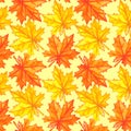 Watercolor autumn maple leaves seamless pattern. Colorful fall background and texture Royalty Free Stock Photo