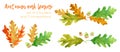 Watercolor autumn oak leaves and acorns set