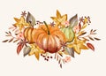 watercolor autumn ornaments collection design illustration