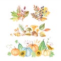 watercolor autumn ornaments collection with vegetation plants design illustration