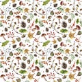 Watercolor autumn pattern. Hand painted mushroom, rowan, fall leaves, tree branch, pine cone, berry and acorn