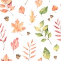 Watercolor autumn seamless pattern. Fall leaves, acorns, berries, spruce branch. Forest design elements. Hello Autumn! Perfect for Royalty Free Stock Photo