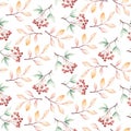 Watercolor autumn seamless pattern with mashrooms, branches, leaves and berries. Set of autumn forest plants. Collection