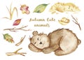 Watercolor autumn set, card with a cute cartoon sleeping bear, a barrel of honey, wood.