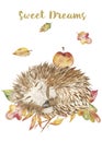 Watercolor autumn set, card with a cute cartoon sleeping hedgehog in the leaves.