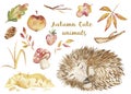 Watercolor autumn set, card with a cute cartoon sleeping hedgehog in the leaves.