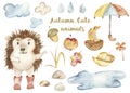 Watercolor autumn set, greeting card with cute hedgehog, umbrella, puddle.
