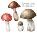 Watercolor autumn set with mushrooms. Hand painted amanita muscaria and boletus isolated on white background. Botanical Royalty Free Stock Photo