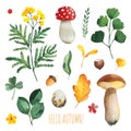 Watercolor Autumn set with leaves, mushrooms Royalty Free Stock Photo