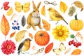 Watercolor autumn set, pumpkins, flowers sunflowers, dahlia, yellow leaves, berries, birds, bunny, butterflies Royalty Free Stock Photo