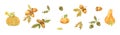 Watercolor autumn set with pumpkins, oak leaves and acorns. Design for stickers, icons, stationery, postcards and Royalty Free Stock Photo