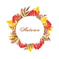 Watercolor autumn set with rowan, leaves, mushrooms, apples, cones, flowers and berries