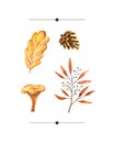 Watercolor autumn set of with watercolor sprigs, leaves, pine cone, mushroom. Illustration isolated on white. Hand drawn items Royalty Free Stock Photo