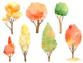 Watercolor autumn trees collection. Fall colors - orange, yellow, red and green. Hand-drawn forest clipart.
