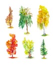 Watercolor autumn trees. Set of bright vector sketches of birch, poplar, pine, maple, aspen, etc