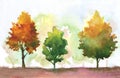 Watercolor autumn trees. fall park theme illustration with orange, yellow, green colors. abstract Royalty Free Stock Photo