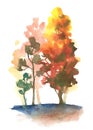 Watercolor autumn trees on white composition. fall park theme illustration Royalty Free Stock Photo