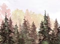 Watercolor autumn trees of yellow, red, orange color.Watercolor group of trees - fir, pine, cedar, fir-tree. green forest, landsca Royalty Free Stock Photo