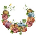 Watercolor autumn wreath with pumpkin. Hand painted bright pumpkins with leaves and flowers isolated on white background