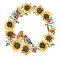 Watercolor autumn wreath with redbreast, sunflowers, berries and eucalyptus leaves. Hand painted border isolated on