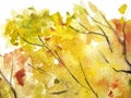 Watercolor autumn yellow orange green tree leaf foliage branch texture background Royalty Free Stock Photo