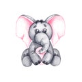 Watercolor baby elephant on a white background Royalty Free Stock Photo