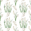 Watercolor seamless pattern with the image of the bluegrass meadow plant