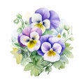 Delicate Realism: Watercolor Pansies With Green Grasses On White Royalty Free Stock Photo