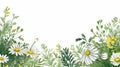 Watercolor Daisy Border: Intricate Foliage Inspired Nature Illustration Royalty Free Stock Photo