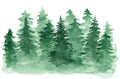 Watercolor background with green coniferous forest Royalty Free Stock Photo