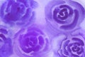 Watercolor background illustration. Watercolor purple blurry roses