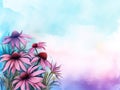 watercolor background - pink and purple cone flowers