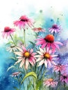 watercolor background - pink and purple cone flowers