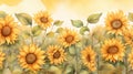 watercolor background sunflower field basking in golden sunlight.