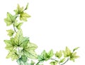 Watercolor background with transparent leaves. Banner with fresh English ivy plant and place for text. Corner