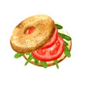 Watercolor bagel, sandwich with, tomatoes and herbs for decoration design. Delicious breakfast. Isolated object on white