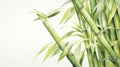 Watercolor Bamboo Trunks Illustration: Hyperrealistic Botanical Art