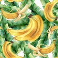 Watercolor banana tropical pattern. Hand painted tropical fruit and leaves isolated on white background. Food botanical