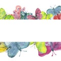 Watercolor banner of bright large colorful butterflies isolated on a white background. Colorful butterfly pattern painted with wat Royalty Free Stock Photo